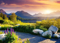 Tatrzański Park Narodowy, Tatry Wysokie, Szczyrbskie Jezioro, Góry, Drzewa, Kamienie, Kwiaty, Niebo, Zachód słońca, Słowacja