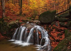 Kamienie i próg rzeczny w jesiennym lesie