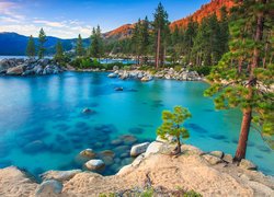 Jezioro, Tahoe Lake, Drzewa, Sosny, Góry, Kamienie, Sand Harbor Beach, Nevada, Stany Zjednoczone