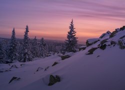 Kamienie i świerki na wzgórzu przysypane śniegiem