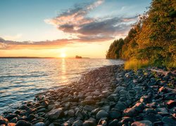 Jesień, Jezioro Onega, Kamienie, Drzewa, Wschód słońca, Karelia, Rosja