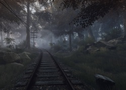 Kamienie obok torów kolejowych prowadzących przez las