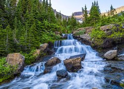Park Narodowy Glacier, Montana, Stany Zjednoczone, Wodospad, Kamienie, Mech, Rośliny, Drzewa
