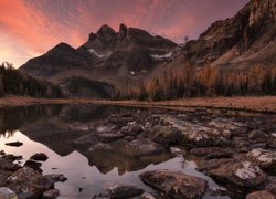 Góry, Jezioro, Gog Lake, Kamienie, Drzewa, Park prowincjonalny Mount Assiniboine, Kolumbia Brytyjska, Kanada