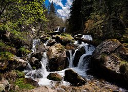 Kamienie w górskim strumieniu