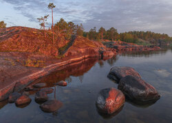 Kamienie w jeziorze Ładoga i drzewa na skałach