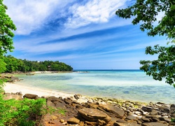 Kamienista plaża na wyspie Phi Phi w Tajlandii
