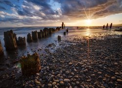 Kamienista plaża nad cieśniną Possession Sound w Mukilteo