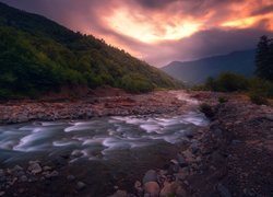 Rzeka, Kamienie, Wzgórze, Góry, Drzewa, Las