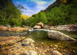 Kamienista rzeka płynąca przez Park Narodowy Sekwoi w Kalifornii