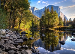 Kamienisty brzeg rzeki otoczonej drzewami w Parku Narodowym Yosemite w Kalifornii