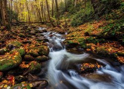 Kamienisty potok  jesienią