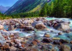 Kamienisty potok w Dolinie Aosty we Włoszech