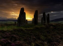 Kamienny, Krąg, Ring of Brodgar, Kamienie, Wschód słońca, Wrzosy, Orkady, Szkocja