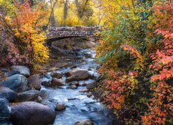 Jesień, Potok, North Cheyenne Creek, Kamienie, Most, Kolorowe, Drzewa, Krzewy, Colorado Springs, Kolorado, Stany Zjednoczone