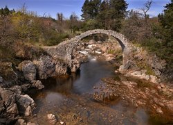 Rzeka, Kamienny, Most, Kamienie, Drzewa