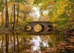 Kamienny most nad rzeką w jesiennym Parku Sharon Woods