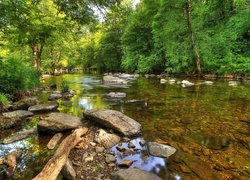 Anglia, Hrabstwo Somerset, Park Narodowy Exmoor, Rzeka Barle, Most Tarr Steps, Kamienie, Drzewa