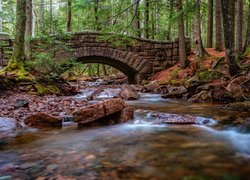 Stany Zjednoczone, Stan Maine, Park Narodowy Acadia, Las, Rzeka, Kamienny, Most Hadlock Brook Bridge