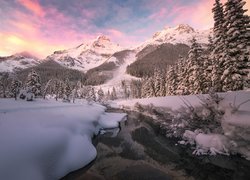 Zima, Góry, Canadian Rockies, Las, Ośnieżone, Drzewa, Kanada