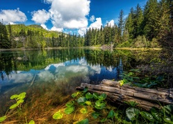 Kanadyjskie jezioro w otoczeniu gór i lasu