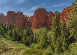 Kanion Konorchek Canyons, Skały, Góry, Drzewa, Ścieżki, Kirgistan