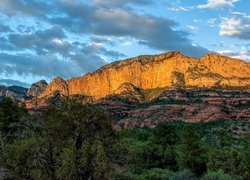 Kanion Oak Creek Canyon, Park Stanowy Slide Rock, Kanion, Drzewa, Góry, Skały, Lasy, Stan Arizona, Stany Zjednoczone