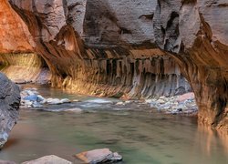 Rzeka, Virgin River, Kanion, Zion Narrows, Park Narodowy Zion, Utah, Stany Zjednoczone