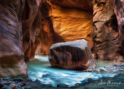 Stany Zjednoczone, Stan Utah, Park Narodowy Zion, Kanion Zion Narrows, Rzeka Virgin River, Kanion, Skały