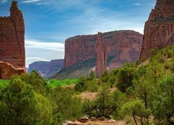 Kanion Zion Narrows w Parku Narodowym Zion w Utah