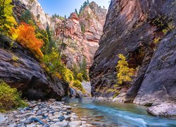 Kanion Zion Narrows