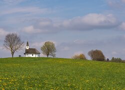 Wzgórze, Kościół, Kaplica, Drzewa, Łąka, Kwiaty, Wiosna