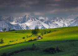 Polska, Gmina Łapsze Niżne, Kacwin, Ośnieżone, Góry, Tatry, Pola, Drzewa, Kaplica Matki Bożej Śnieżnej