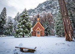 Kaplica obok ośnieżonych drzew i ławka w Parku Narodowym Yosemite