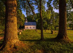 Kaplica pod drzewami na cmentarzu