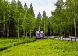 Kaplica w brzozowym lesie
