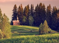 Kapliczka, Drzewa, Łąka, Wieś, Kenozerskoje, Obwód archangielski, Rosja