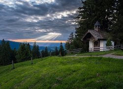 Kapliczka pod drzewami na wzgórzu