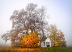 Jesień, Kapliczka, Drzewa, Mgła, Pole