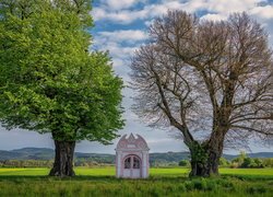 Kapliczka, Drzewa, Pole, Wiosna, Wieś Kiefenholz, Powiat Ratyzbona, Niemcy