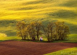 Pola uprawne, Drzewa, Kapliczka, Sobulky, Kraj południowomorawski, Czechy