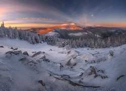 Zima, Góry, Karkonosze, Las, Ośnieżone, Drzewa, Wschód słońca, Księżyc, Polska