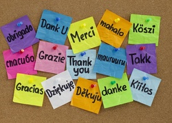 Karteczki z podziękowaniami w różnych językach przypięte do tablicy