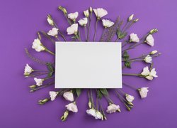 Kartka na białych kwiatach eustomy