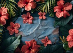 Kwiaty, Hibiskusy, Liście, Papier, Kartka