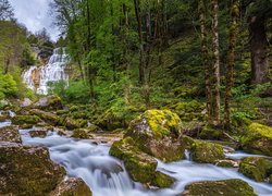 Kaskada na leśnej rzece Herisson we Francji