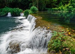 Kaskadowy wodospad na rzece w lesie
