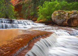 Stany Zjednoczone, Utah, Park Narodowy Zion, Kanion Zion Narrows, Skały, Drzewa, Rzeka, Virgin River