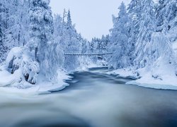 Katarakty Myllykoski na rzece Kitkajoki w Parku Narodowym Oulanka