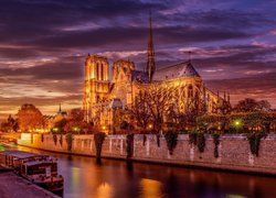 Katedra Notre Dame nocą